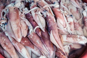 Dried squid and seafood Fish market on the island Seafood