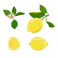 Set of lemons on a white isolated background.