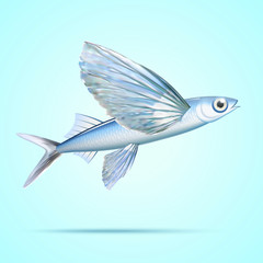 Flying fish element