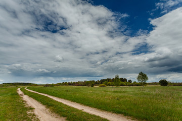 Fototapeta na wymiar rural landscape with road