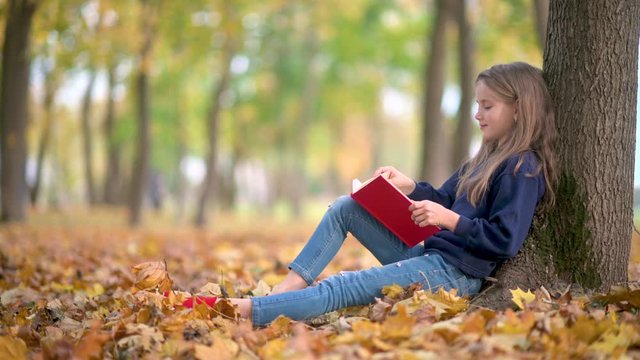 School-Age Girl Reads A Book Sitting Under A Large Autumn Tree. A Child Reads A Book in a Sunny Autumn Park.