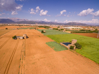 campo de labor, produccion de patatas, Sa Pobla, Mallorca, balearic islands, Spain
