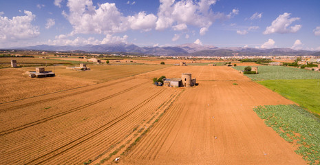 campo de labor, produccion de patatas, Sa Pobla, Mallorca, balearic islands, Spain