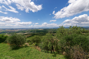 Italien - Toskana - Montalcino - Sant'Angelo in Colle