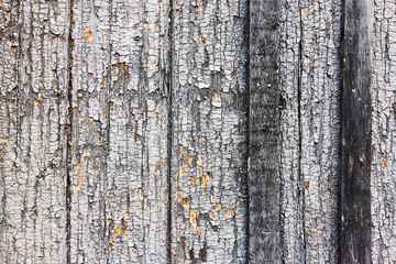 Obraz premium Old wood planks, perfect background for your concept or project.