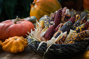 Pumpkins and corncobs in the straw basket. Thanksgiving day concept
