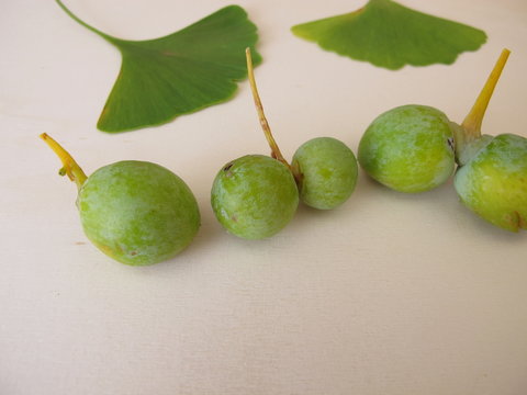 Ginkgo Seeds With Seed Shell, Ginkgo Biloba