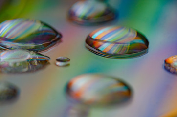 Reflets et gouttes zébrées