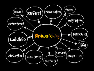 Birdwatching mind map, concept for presentations and reports