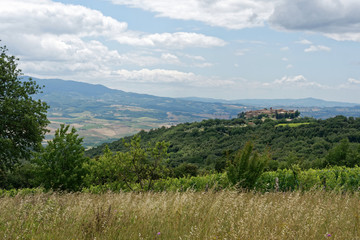 Italien - Toskana - Montalcino - Sant'Angelo in Colle