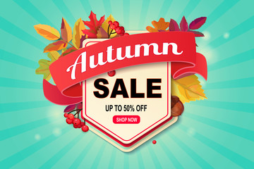 Autumn sale web banner with ribbon and  falling leaves. Vector illustration.