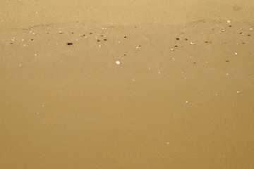 sand beach with shells and stone
