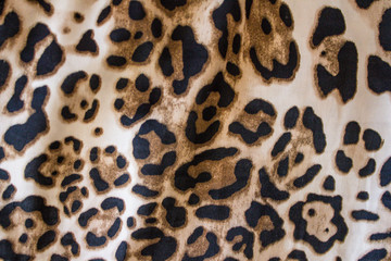 close-up leopard print fabric texture