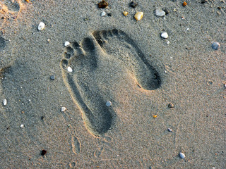 Footprint in the sand.
