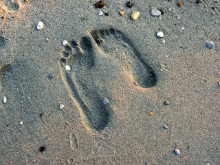 Fototapeta na wymiar Footprint in the sand. 