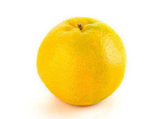 The orange on a white background