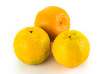 The oranges isolated on white background
