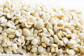 Job's tears (a tropical Asian grass--Coix lacryma-jobi--having white, beadlike grains)