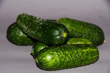 cucumber on the vine