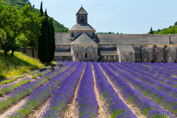 Senanque Abbey, The Abbaye de Senanque, Cistercian Architecture, Gordes Village, Provence, France, Europe