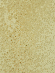 mold on brown canvas texture