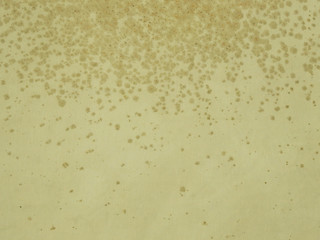 mold on brown canvas texture