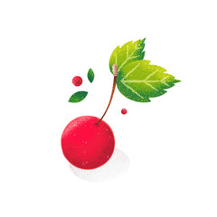 One cherry on white background. Fruit card in grunge style. Noise texture shadow. - 371178458