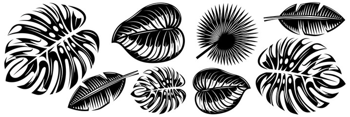 Set of various tropical leaves. Design elements. Monochrome vector illustration © 111chemodan111