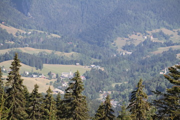 The Chartreuse mountain
