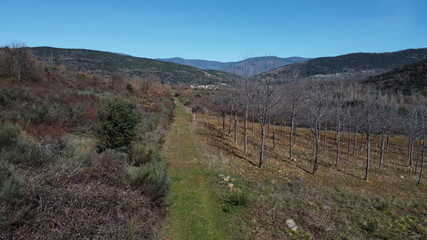 Fototapeta na wymiar Camino de monte que se pierde por el fondo del paisaje.