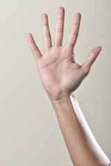 hand showing five sign isolated on grey background