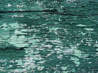 old green wood with crack texture