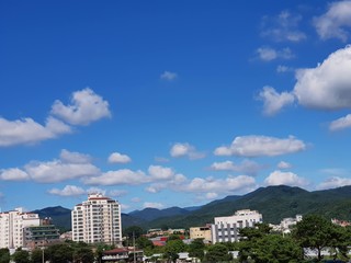 Fototapeta premium blue, sky, white building, green trees