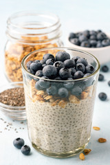 Fototapeta na wymiar Chia pudding with fresh blueberries and granola in glass on concrete background