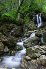 waterfall in the forest