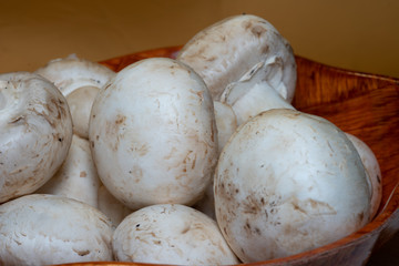 Edible porcini mushrooms in a bowl