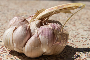 Cabeza de ajo