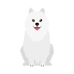 cartoon maltese dog icon, flat style