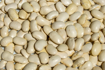 Legrumbre Judión de la Granja