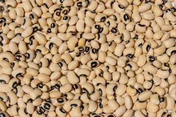 Legumbres alubias carillas