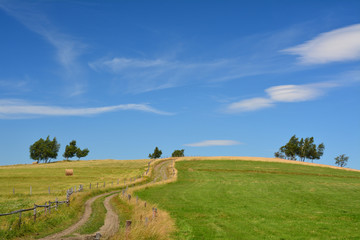 Fototapeta premium Idyllic countryside scenic meadow and sky view.