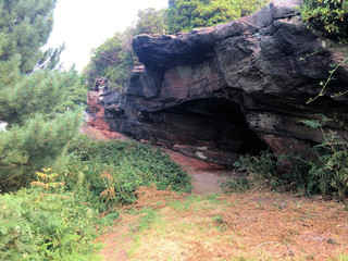 Sandstone Rocks at Carden Park