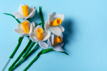 The handmade felt daffodil (Narcissus) the plant is on a blue background, springtime. The concept...