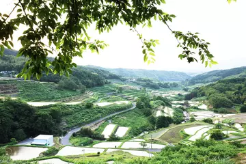 別府 内成の棚田
