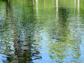 abstract water reflection texture, natural background