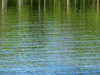 abstract reflection of tree on water in the park, natural background