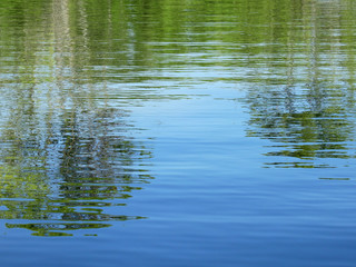 Obraz na płótnie Canvas abstract reflection of tree on water in the park, natural background