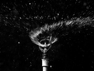 water splash of sprinkler black and white style