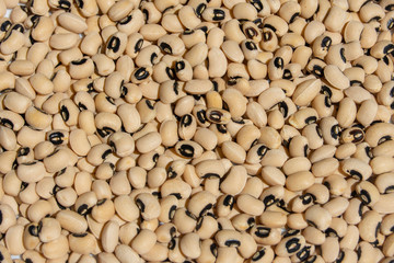 Legumbre alubias carillas