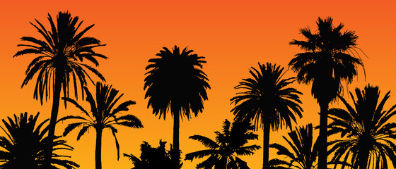 Fototapeta na wymiar Beautiful vector landscape with palm tree silhouettes on orange background during sunset.